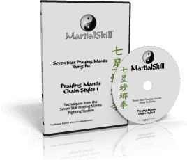 Praying Mantis Chain Styles Vol. 1 DVD
